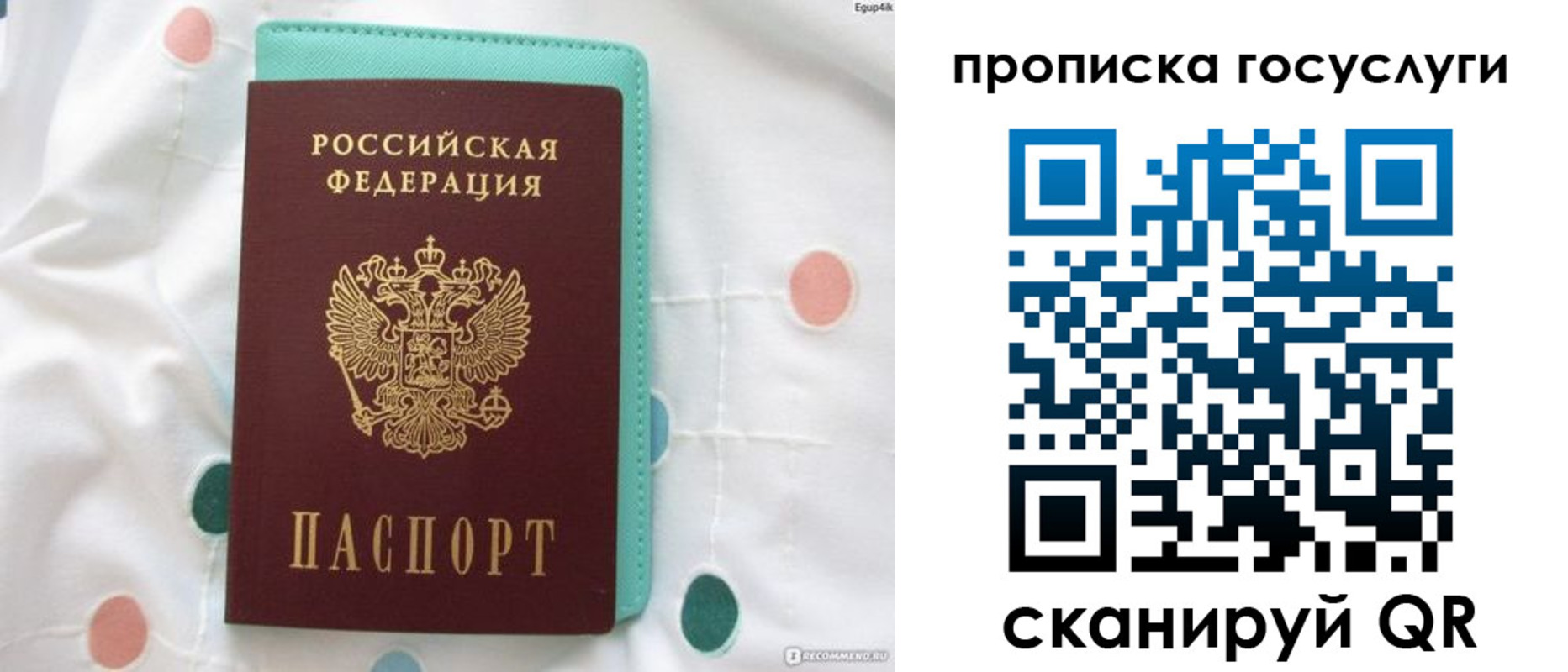 прописка поиск в Мордовии